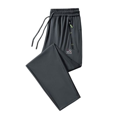 Men's Casual Pants for Obese Lightweight Joggers Quick Dry Cargo Track Running Workout Athletic Travel Golf Pants (as1, Alpha, l, Regular, Regular, Grey-1)