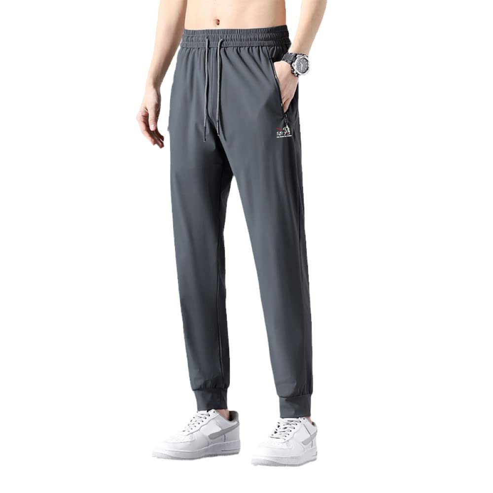 Men's Casual Pants for Obese Lightweight Joggers Quick Dry Cargo Track Running Workout Athletic Travel Golf Pants (as1, Alpha, xx_l, Regular, Regular, Grey-2)