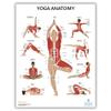Anatomy Lab Yoga, Pilates, and Stretching Anatomy Poster Set - 3 PACK LAMINATED, Anatomy and Physiology Poster, 17.3 x 22.5 Inches, Stretching Exercise Chart Posters for Wall view 2