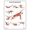 Anatomy Lab Yoga, Pilates, and Stretching Anatomy Poster Set - 3 PACK LAMINATED, Anatomy and Physiology Poster, 17.3 x 22.5 Inches, Stretching Exercise Chart Posters for Wall view 3