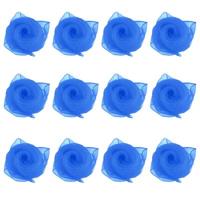 Andux 12PCS Dance Scarves,Colorfast Dance handkerchief for Kids,Kindergarten Juggling Scarves Music Scarf 24 inches WDSJ-02(Dark Blue)