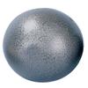 Champion Sports 4 K Iron Shot Put + Rubber Practice Discus Bundle (1.0 kg) view 2