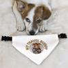 Travel Buddy Pet Bandana Collar - Dog Theme Scarf Collar - Unique Dog Bandana - XL view 3