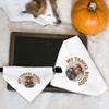 Travel Buddy Pet Bandana Collar - Dog Theme Scarf Collar - Unique Dog Bandana - XL view 4