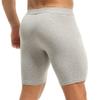 Maiyifu-GJ Men's Solid Colour Cool Underwear Moisture-Wicking Stretch Boxer Briefs Cotton Sports Trunks (Gray 1PC,Large) view 4