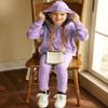 Arshiner Girl's Sweaters Set 2 Piece Outfits Rib-Knit Sweatsuits Cute Pullover Sweatshirt and Sweatpants for 5-6 Years view 3