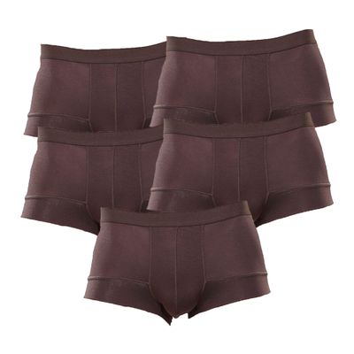 Maiyifu-GJ Men's Ice Silk Four-Corner Cut Underwear Athletic Quick-Dry Boxer Briefs Workout Breathable Trunks (Coffee 5PC,Large)
