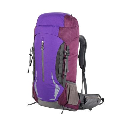 YIORYO Hiking Backpack, 50L Outdoor Ultra-Light Travel Camping Day Pack for Camping Hiking Mountaineering Climbing (Gray : B)