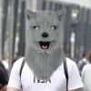 hbbhml Animal Dog Head Mask Realistic Furry Plush Tail Claw Gloves Full Wolf Masks for Halloween Party Carnival Cosplay Gray view 2