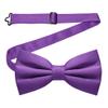 JEMYGINS Violet Pre-tied Bow Tie Adjustable Bowtie for Men(16) view 1