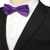 JEMYGINS Violet Pre-tied Bow Tie Adjustable Bowtie for Men(16) view 2