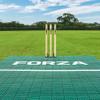 FORTRESS Cricket Skills Instant Wicket [Line & Length Zones] - Cricket Wicket (with Trolley, 13ft (Backyard)) view 3