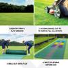 FORTRESS Cricket Skills Instant Wicket [Line & Length Zones] - Cricket Wicket (with Trolley, 13ft (Backyard)) view 4