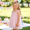 AGQT Baby Girls Tutu Dress Sleeveless Kids Tulle Birthday Party Dresses Casual Playwear Tunic Babydoll Dress Pink Sequin Star-Light Purple Rainbow Size 18-24 Months view 3