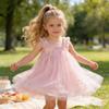 AGQT Baby Girls Tutu Dress Sleeveless Kids Tulle Birthday Party Dresses Casual Playwear Tunic Babydoll Dress Pink Sequin Star-Light Purple Rainbow Size 18-24 Months view 4