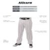 Alleson Ahtletic Badger Sports 655WPNY - Crush Pinstripe Pant - L - WH/RD White/Red view 2