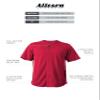 Alleson Ahtletic Badger Sports Standard Sports, Multi, One Size view 4