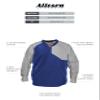 Alleson Athletic Youth Field Batters Jacket (Style 3JLS21Y), Royal/Grey, M view 2