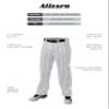 Alleson Ahtletic Badger Sports 655WPN - Crush Pinstripe Pant - S - WH/RY White/Royal view 2