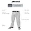 Alleson Ahtletic Badger Sports 655WPN - Crush Pinstripe Pant - M - WH/BK White/Black view 2