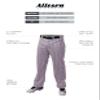 Alleson Ahtletic Badger Sports 655WPN - Crush Pinstripe Pant - 3XL - GY/RY Grey/Royal view 2