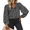3/4 Length Sleeve Womens Blouse Leopard Print Chiffon Tops V Neck Loose Business Shirts Casual Work Tunic 2X Large,Black view 1