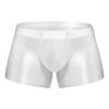 Agoky Men's Underwear Ice Silk Boxer Breathable Seamless Transparent Briefs Smooth Underpants White Medium view 1
