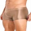 Freebily Men's Breathable Ice Silk Boxer Briefs Cool Elastic Nylon Trunk Transparent Stretch Panties Coffee X-Large view 4