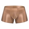 Agoky Men's Underwear Ice Silk Boxer Breathable Seamless Transparent Briefs Smooth Underpants Coffee Large view 1