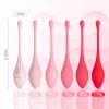 Kegel Exercise System - Recommended by Doctors for Pelvic Floor strengthening and Tightening Exercises, Basic and Advanced Kegel Fitness Products view 2
