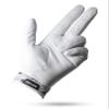 Pins & Aces - Palm Sunday Golf Glove Design - Premium AAA Cabretta Leather, Long-Lasting Durable Tour Glove for Men or Women - Premium Leather Golf Glove Left & Right Hand (Medium, Left) view 2