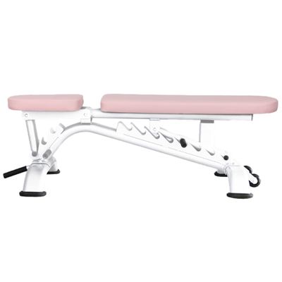 THCSY Weight Bench, Adjustable Workout Bench, Professional Multi-Purpose Incline Bench for Home Gym Dumbbell Barbell Bench Press and Strength Training Load 500KG(Pink)
