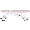 THCSY Weight Bench, Adjustable Workout Bench, Professional Multi-Purpose Incline Bench for Home Gym Dumbbell Barbell Bench Press and Strength Training Load 500KG(Pink) view 1