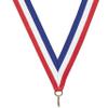 50 Pack of Readers are Leaders Reading Gold Medals Trophy Award with Neck Ribbons MA view 3