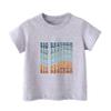 hrcfbk Toddler Baby Boys T-Shirt Short Sleeve Big Brother Pregnancy Announcement Shirt (3T, Big Brother) view 4