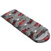 Axolotl Cool Red Car Sleeping Bag for Boys KidsLightweight Warm Cold Weather Sleeping Bags,Waterproof Portable Sleeping Bag with Compression Sack for Camping Backpacking Hiking Outdoor Indoor view 4