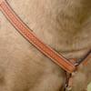 Circle Y Windsor 1 1/2In Breast Collar Horse view 4