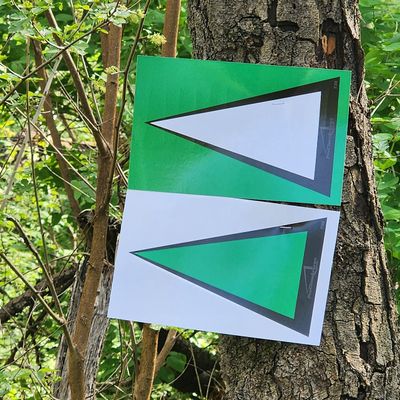Pro Class Arrows; PCA-Green, Race Course Trail Marker; 150 Pack; 8"x5" (Green)