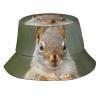 Cute Squirrel Bucket Hat Wide Brim Protection Sun Hat Boonie Hats Fishing Hiking Outdoor Animal Hats for Men and Women view 1