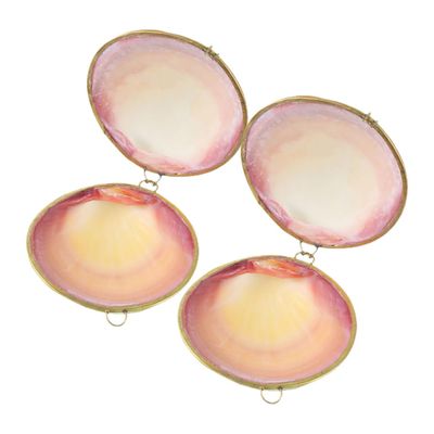 Zerodeko Seashell Jewelry Box Small Trinket Organizer Ocean-Themed Shell Case for Rings Earrings Necklaces Bracelets Compact 3X2.8X1.2 Inch