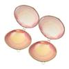 Zerodeko Seashell Jewelry Box Small Trinket Organizer Ocean-Themed Shell Case for Rings Earrings Necklaces Bracelets Compact 3X2.8X1.2 Inch view 1
