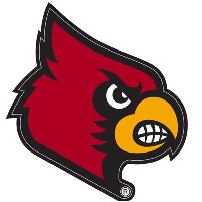Siskiyou Sports NCAA Louisville Cardinals 8 inch Auto Decal, One Size, Team Colors