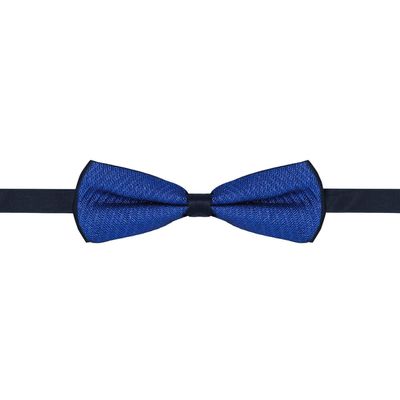 Barabas Men's Textured Material Design Bow Tie 2BW3105 (Sapphire Blue)