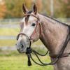 Billy Royal Schneiders Bosal Set W Futurity Headstall | Color Dark Oil/Black | Complete Show Ring Set | Grade A Leather | Basket Weave Tooling | 12 Plait Rawhide Bosal | Stylish Accents view 1