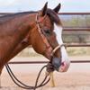 Schneiders Double S One Ear Bosal Set | Complete One Ear Bosal Set, Adjustable Size, Comfortable for Sensitive Noses, Basketweave Tooled Design, Soft Poly Mecate | view 2