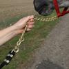 Schneiders Nylon Lead Rope with Brass Plated Chain | Durable & Rot-Resistant | 30 Brass-Plated Chain for Added Control | 8 Feet | Color Navy view 2