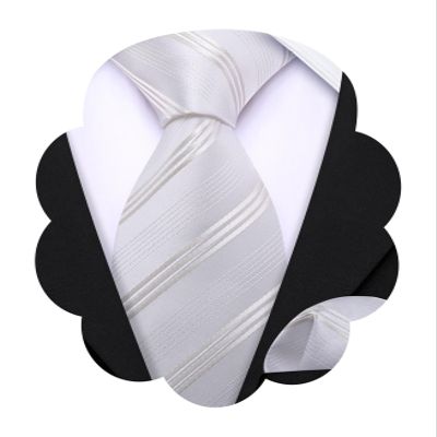 Barry.Wang Ties for Boys 47.2" Self-Necktie Kids and Pocket Square Set Teenager Uniform Graduation Performance Age 6-15