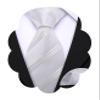Barry.Wang Ties for Boys 47.2" Self-Necktie Kids and Pocket Square Set Teenager Uniform Graduation Performance Age 6-15 view 1
