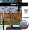 Lifetime Poolside Portable Basketball Hoop, 44-Inch Impact Backboard view 2