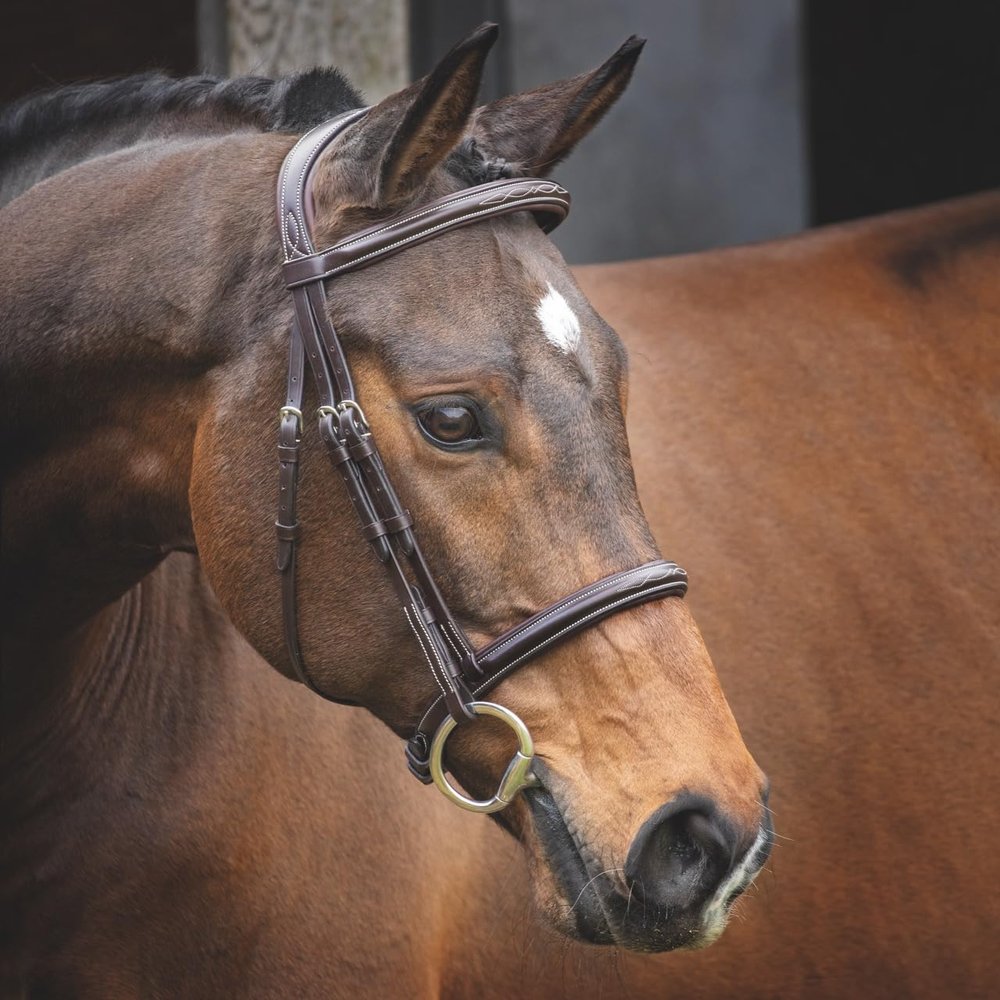 Shires LUSSO Hunter Cavesson Bridle (Cob)